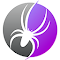 SEO Spider Tools icon