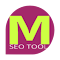 MASTER SEO Tool- SERP Counter & Meta icon